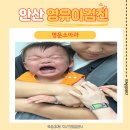 명문약국 | 안산 영유아검진 명문소아과 후기