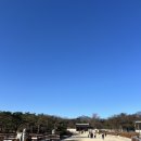 하나종묘 | 시간이 멈춘 신성한 숲 서울 종묘 방문 후기 유네스코 세계유산의 위엄