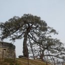 초지로4 이미지