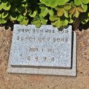 곡성 월봉 이미지