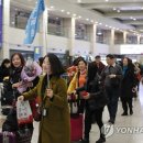 위즈여행㈜ 이미지