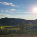 살구나무펜션민박 이미지