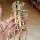 배배농장 이미지