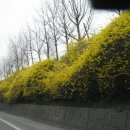 서부간선로 이미지