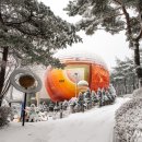 좌구산 천문대 이미지