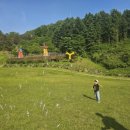 사명대사공원 잔디광장 이미지