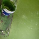 홈플러스(주)순천풍덕점 이미지