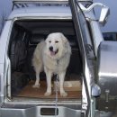 감당농장 이미지