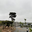 내포캠핑스퀘어 | 용봉산 자락에 위치한 내포 캠핑스퀘어 후기(내돈내산)