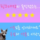 쌍둥이네활어회