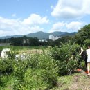 강신농장 이미지