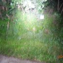 진양축산 이미지