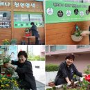 퀸즈헤나염색전문샵 - 양산시 | 퀸즈헤나염색전문샵
