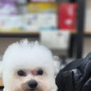 뚜뚜네 미용실 이미지