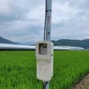 농협독산지점 이미지