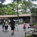 방림원 식물원 이미지