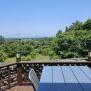 비자림라파 이미지