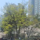 하이서울도시개발 | [서울주택도시개발공사 필기 후기] - 사무 (경제) (+ 결과)