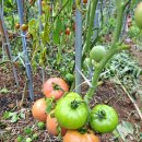 무곡농장 이미지