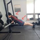 햄스트링과 엉덩이 저림, 하지만 허리디스크는 아니다?[신도림 재활pt 후기]