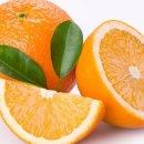 오렌지 수산 이미지