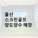 단디스크린골프 이미지