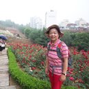 도담공원 이미지