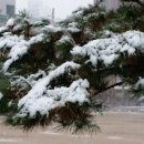 석천공원 네이버블로그