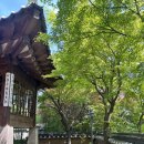 [서울 북촌] 백인제 가옥 후기 | 서울 도심 속 한옥에서 잠시 쉬어가기