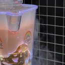 무지개맥주 구월길병원점 이미지