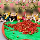 딸기어린이집 이미지