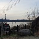 우포의 숲속 이미지