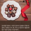 스토리쿡 이미지