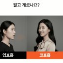 수면 중 입벌림 방지와 립케어를 동시에 해결하는 '립앤숨 밴드' 솔직 후기