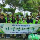 명은메디 오마이뉴스