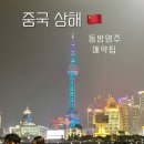 중국 상해여행 동방명주 예약 팁 |상해 역사박물관 후기