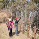 거금휴게소 이미지