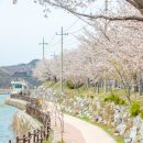 삼기저수지 등잔길 이미지