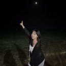 노마드인 강릉 이미지