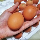 정아네식품 이미지