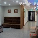 펫앤쉘터동물병원 | 분당동물병원 펫 앤 쉘터 동물병원 신뢰할 수 있는 동물병원