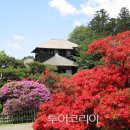 보석같은 얼굴