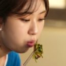 원조맛집 이미지