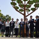 쏠라코리아 이미지