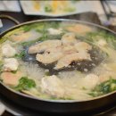 복어세상 이미지