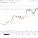 소비제2 이미지