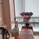 아이큰숲치과의원 이미지