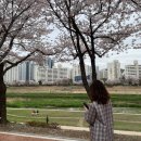 하막곡 네이버블로그