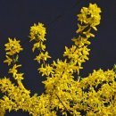 한마음후문약국 이미지