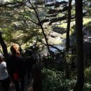 압화&꽃차 이미지